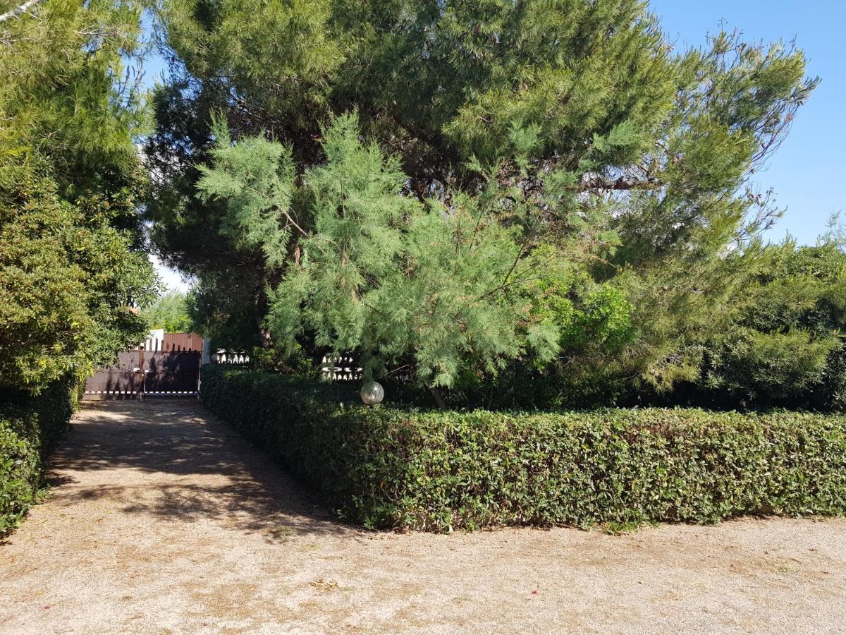 Villa Cino Punta Prosciutto Extérieur photo
