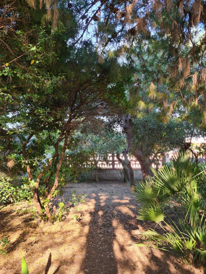 Villa Cino Punta Prosciutto Extérieur photo