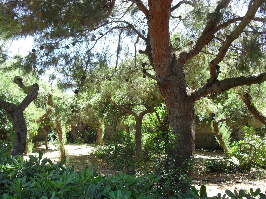 Villa Cino Punta Prosciutto Extérieur photo